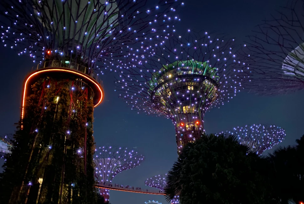 Experience the Vibrant Spirit: Events and Festivals in Marina del Rey