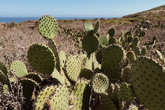 Tour image 10
